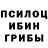 Галлюциногенные грибы Psilocybe Vladyslav Balabai