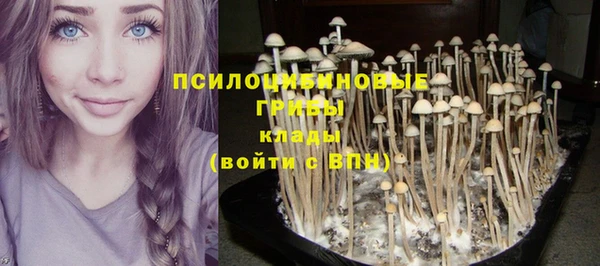 прущая мука Армянск