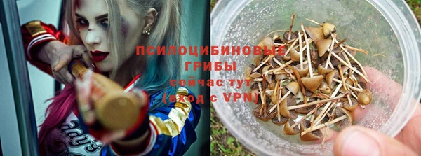 прущая мука Армянск