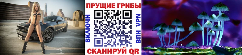 Галлюциногенные грибы Psilocybine cubensis  Похвистнево 