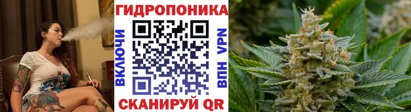 Бошки Шишки ГИДРОПОН Похвистнево